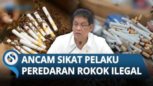 “1 Mei Batas Akhir Beredar Rokok Ilegal, Distributor & Pemasok Di Kincai Mulai Kecut Kuho read-ciut”.