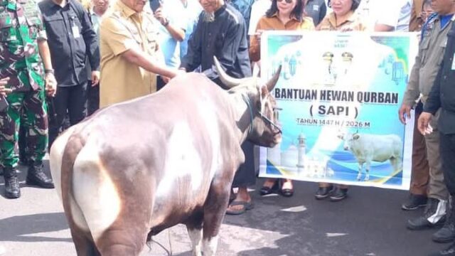 Agenda Tahunan Penyerahan Hewan Kurban Hari Raya Idul Adha 1447 Hijriah Oleh Pemprov Menjadi Cermin Wajah Sulawesi Utara.