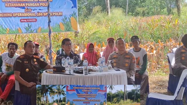 Kapolres Bitung Bersama Wali Kota dan Kajari Ikuti Panen Raya Jagung Serentak, Komitmen Swasembada Pangan 2026.