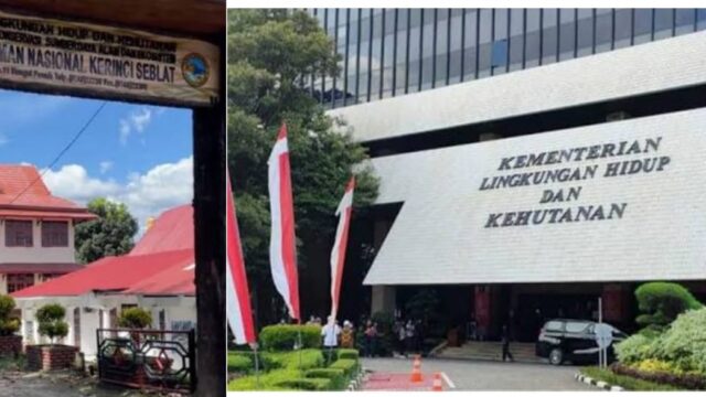 Aktivis Merah Mato Minta: Adanya Legalitas Khusus Diterbitkan Kementerian Kehutanan Terhadap Kota Sungai Penuh & Kerinci.